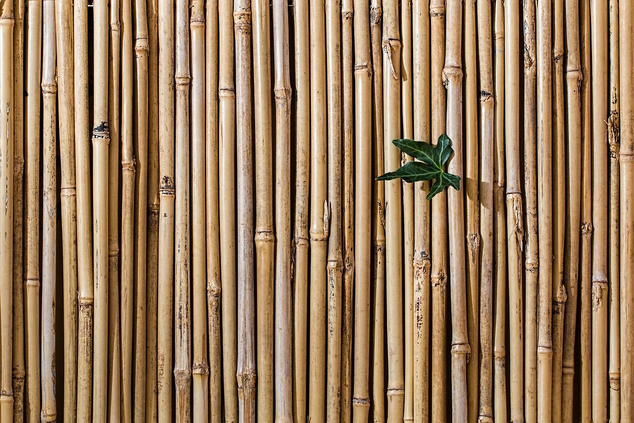 Jak wykorzystać tyczki bambusowe w uprawie roślin?