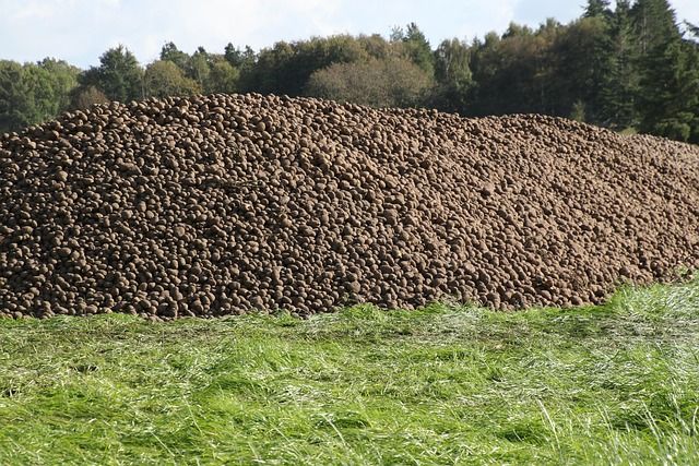 Podstawowe narzędzia ogrodnicze - co warto mieć w swoim zestawie?