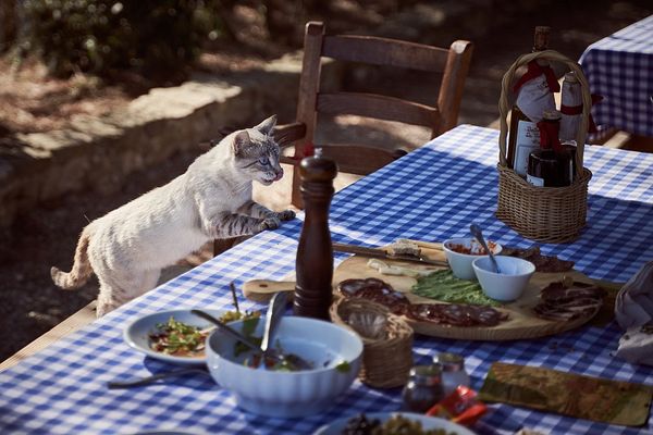 Jak przygotować taras na letnią kolację ze znajomymi?